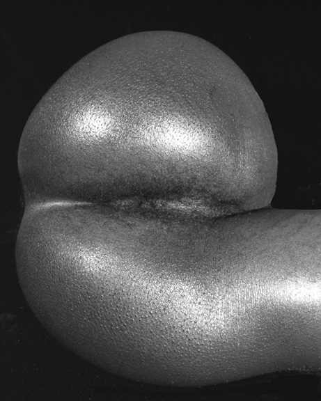 Photographic Image from Studies in Black by Tony Butcher